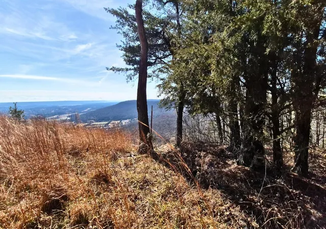 Photo 2 of Land for sale at 9 Lodge Point Rd, South Pittsburg, TN 37380 | MLS# 3138092 | Listing updated on 2026-09-12