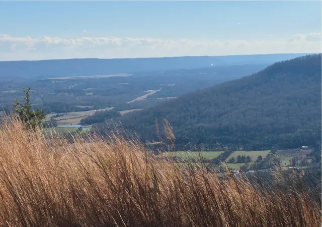 Photo 3 of Land for sale at 9 Lodge Point Rd, South Pittsburg, TN 37380 | MLS# 3138092 | Listing updated on 2026-09-12