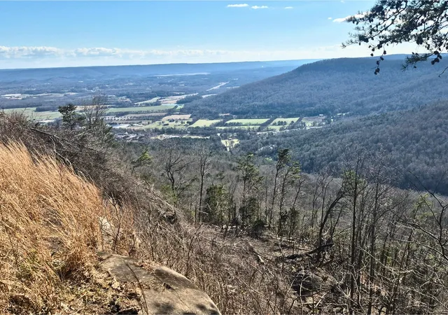 Photo 3 of Land for sale at 9 Lodge Point Rd, South Pittsburg, TN 37380 | MLS# 3138092 | Listing updated on 2026-09-12