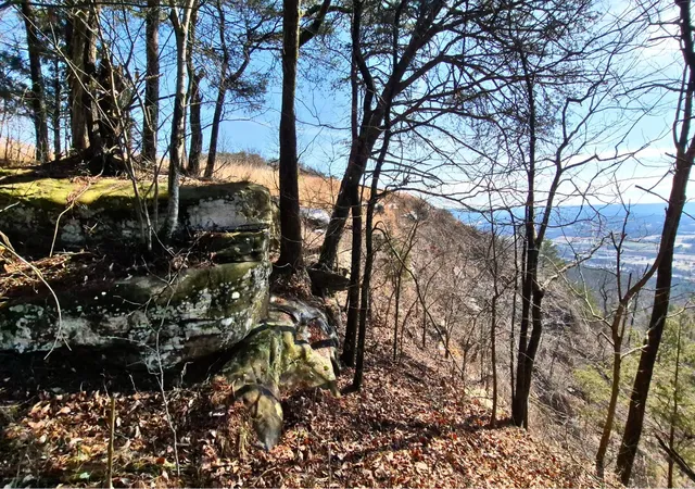 Photo 4 of Land for sale at 9 Lodge Point Rd, South Pittsburg, TN 37380 | MLS# 3138092 | Listing updated on 2026-09-12