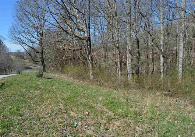 Photo 1 of Land for sale at 12 County Rd 321, Niota, TN 37826 | MLS# 3244210 | Listing updated on 2026-09-11