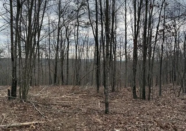 Photo 1 of Land for sale at 11 S Pittsburg Mountain Rd, South Pittsburg, TN 37380 | MLS# 3138793 | Listing updated on 2026-09-11