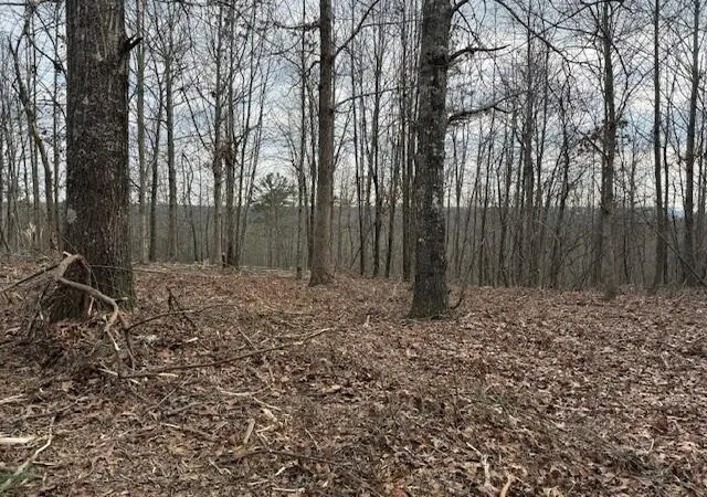 Photo 2 of Land for sale at 11 S Pittsburg Mountain Rd, South Pittsburg, TN 37380 | MLS# 3138793 | Listing updated on 2026-09-11