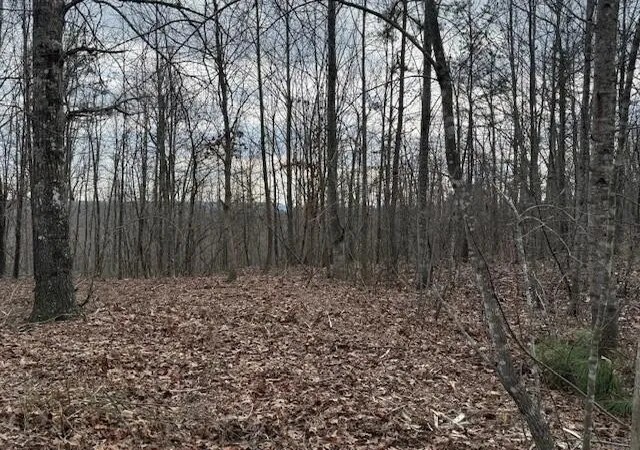 Photo 3 of Land for sale at 11 S Pittsburg Mountain Rd, South Pittsburg, TN 37380 | MLS# 3138793 | Listing updated on 2026-09-11