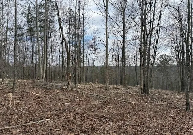 Photo 3 of Land for sale at 11 S Pittsburg Mountain Rd, South Pittsburg, TN 37380 | MLS# 3138793 | Listing updated on 2026-09-11