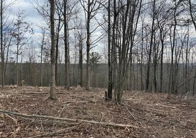 Photo 4 of Land for sale at 11 S Pittsburg Mountain Rd, South Pittsburg, TN 37380 | MLS# 3138793 | Listing updated on 2026-09-11