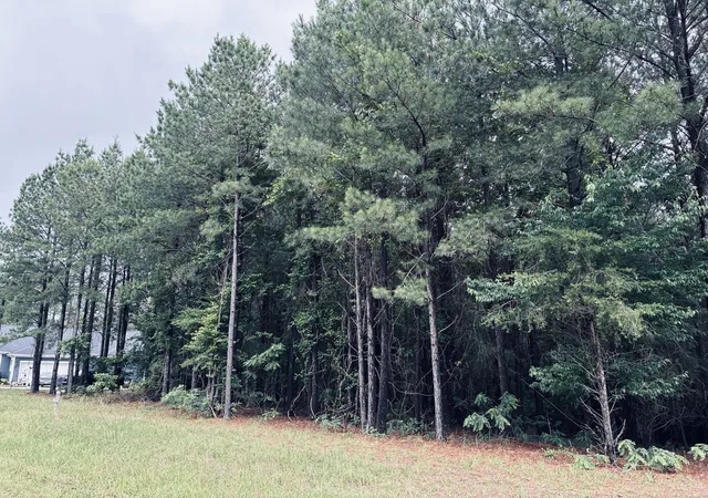 Photo 1 of Land for sale at 3525 Crockett Point, Jasper, TN 37347 | MLS# 3138900 | Listing updated on 2026-09-11