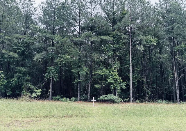 Photo 2 of Land for sale at 3525 Crockett Point, Jasper, TN 37347 | MLS# 3138900 | Listing updated on 2026-09-11