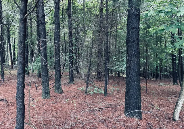 Photo 3 of Land for sale at 3525 Crockett Point, Jasper, TN 37347 | MLS# 3138900 | Listing updated on 2026-09-11
