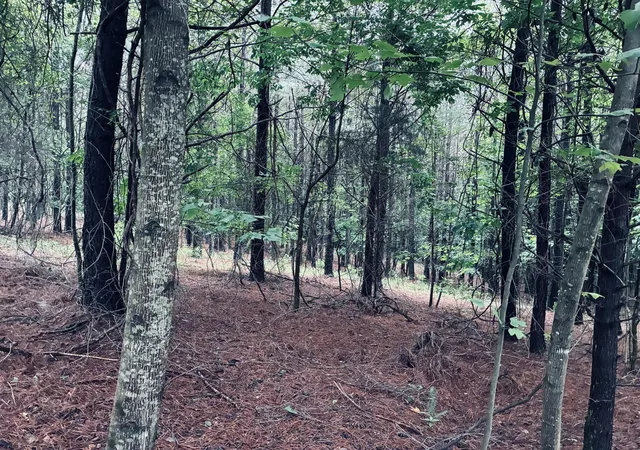 Photo 3 of Land for sale at 3525 Crockett Point, Jasper, TN 37347 | MLS# 3138900 | Listing updated on 2026-09-11