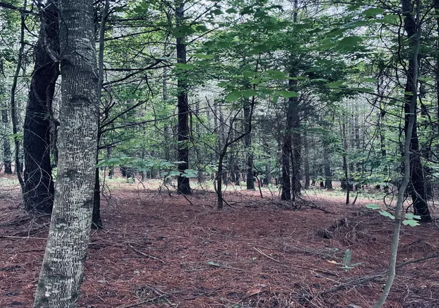 Photo 4 of Land for sale at 3525 Crockett Point, Jasper, TN 37347 | MLS# 3138900 | Listing updated on 2026-09-11