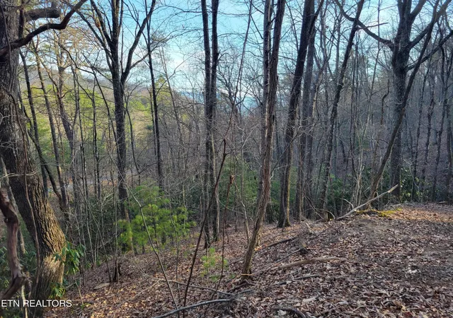 Photo 1 of Land for sale at 5 Swann Saddle, Sevierville, TN 37876 | MLS# 3314615 | Listing updated on 2026-09-11