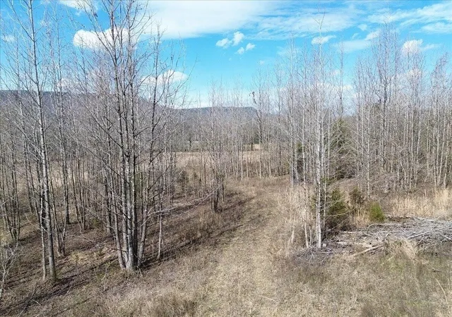Photo 3 of Land for sale at 0 Francis Springs Rd, Whitwell, TN 37397 | MLS# 3145535 | Listing updated on 2026-09-14