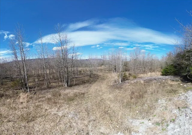 Photo 4 of Land for sale at 0 Francis Springs Rd, Whitwell, TN 37397 | MLS# 3145535 | Listing updated on 2026-09-14