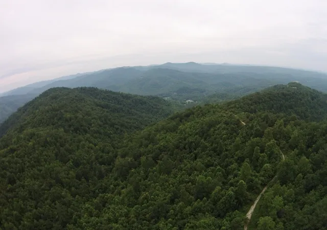 Photo 1 of Land for sale at 1 Straight Frk Rd, Huntsville, TN 37756 | MLS# 3146536 | Listing updated on 2026-09-11