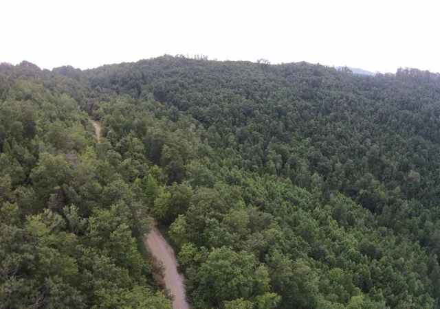 Photo 2 of Land for sale at 1 Straight Frk Rd, Huntsville, TN 37756 | MLS# 3146536 | Listing updated on 2026-09-11