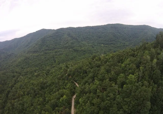 Photo 4 of Land for sale at 1 Straight Frk Rd, Huntsville, TN 37756 | MLS# 3146536 | Listing updated on 2026-09-11