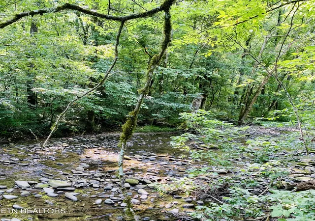 Photo 3 of Land for sale at 32 Holders Grove Rd, Cosby, TN 37722 | MLS# 3528642 | Listing updated on 2026-09-22