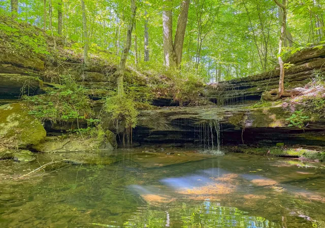 Photo 1 of Land for sale at 1125 Rose Hl Rd, Pulaski, TN 38478 | MLS# 3148239 | Listing updated on 2026-09-11