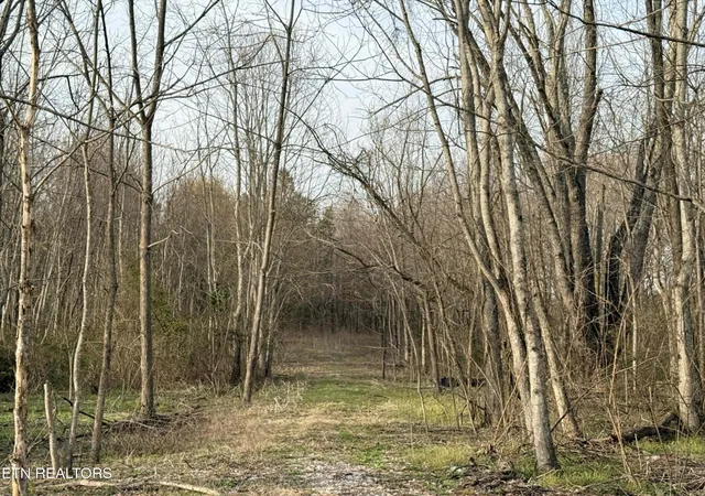 Photo 1 of Land for sale at 1115 Frank Campbell Rd, Jamestown, TN 38556 | MLS# 3155724 | Listing updated on 2026-09-11