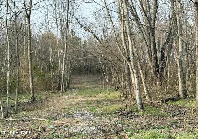 Photo 2 of Land for sale at 1115 Frank Campbell Rd, Jamestown, TN 38556 | MLS# 3155724 | Listing updated on 2026-09-11