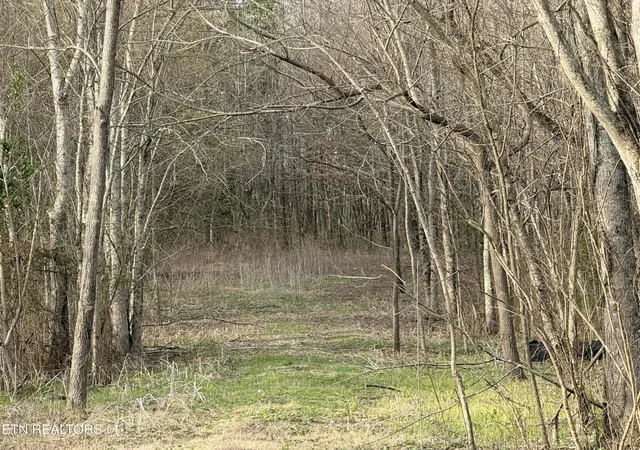 Photo 3 of Land for sale at 1115 Frank Campbell Rd, Jamestown, TN 38556 | MLS# 3155724 | Listing updated on 2026-09-11