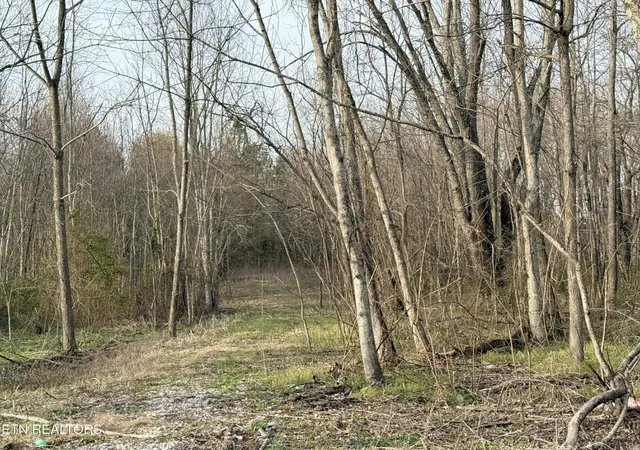Photo 3 of Land for sale at 1115 Frank Campbell Rd, Jamestown, TN 38556 | MLS# 3155724 | Listing updated on 2026-09-11