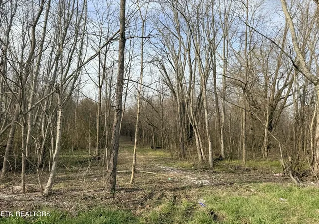 Photo 4 of Land for sale at 1115 Frank Campbell Rd, Jamestown, TN 38556 | MLS# 3155724 | Listing updated on 2026-09-11