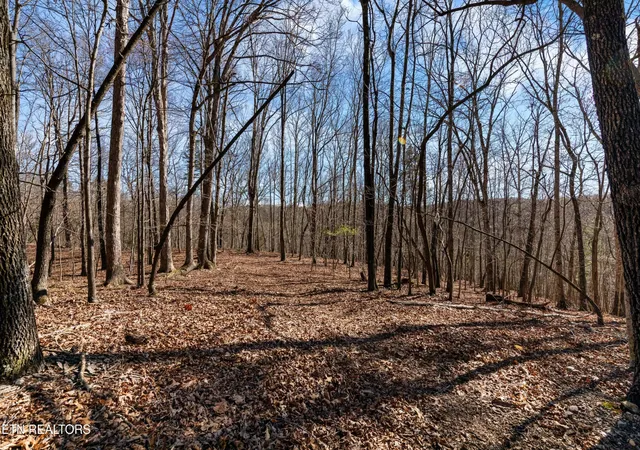 Photo 2 of Land for sale at 150 Clear Branch Rd N, Loudon, TN 37774 | MLS# 3158904 | Listing updated on 2026-09-14