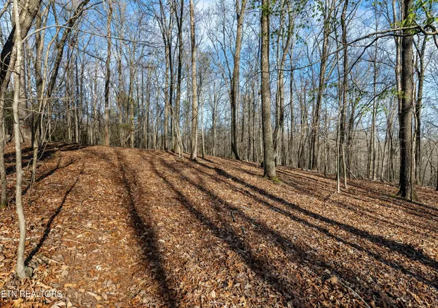 Photo 3 of House for sale at 150 Clear Branch Rd N, Loudon, TN 37774 | MLS# 3158904 | Listing updated on 2026-09-14