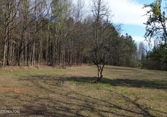 Photo 4 of Land for sale at 0 County Rd 860, Delano, TN 37325 | MLS# 3243326 | Listing updated on 2026-09-11