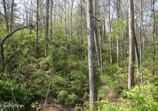 Land for sale at 12 Vanhorn Rd, Knoxville, TN 37918 | MLS# 3163656