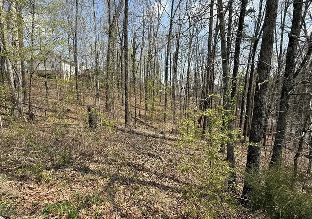 Photo 4 of Land for sale at 193 E Highwater Rd, Soddy Daisy, TN 37379 | MLS# 3298213 | Listing updated on 2026-09-11