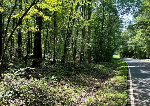 Photo 4 of Land for sale at 5 Pleasant Hl Rd, Ten Mile, TN 37880 | MLS# 3244259 | Listing updated on 2026-09-11