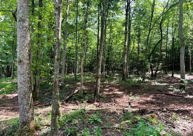 Photo 4 of Land for sale at 8 Pleasant Hl Rd, Ten Mile, TN 37880 | MLS# 3244265 | Listing updated on 2026-09-11