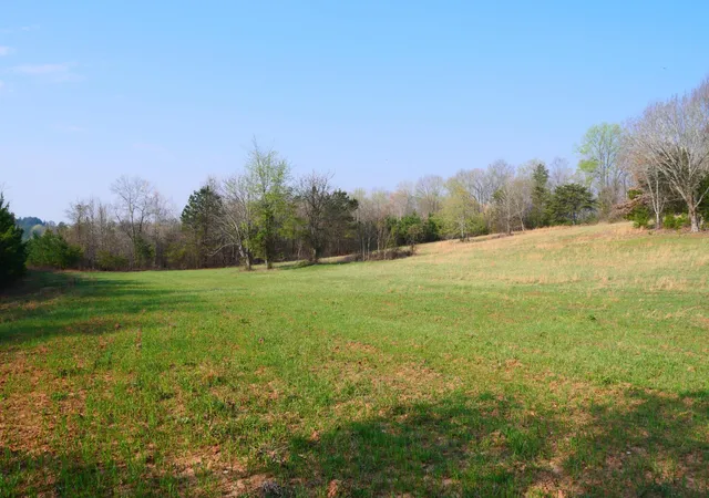Photo 3 of Land for sale at 0 Daugherty Fry Rd, Sale Creek, TN 37373 | MLS# 3166470 | Listing updated on 2026-09-11