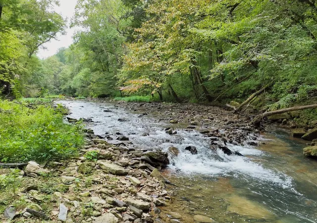 Photo 3 of Sale Pending at 1045 Jones Ml Rd, Smithville, TN 37166 | MLS# 3166636 | Listing updated on 2026-09-14
