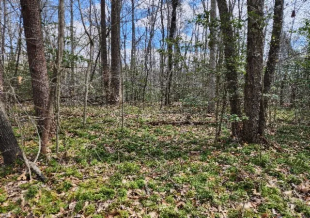 Land for sale at 0 Buffalo Rd, Oneida, TN 37841 | MLS# 3167285