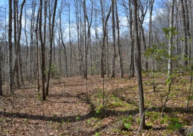 Photo 3 of Land for sale at 0 Buffalo Rd, Oneida, TN 37841 | MLS# 3167285 | Listing updated on 2026-09-14