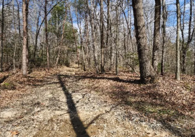 Photo 4 of Land for sale at 0 Buffalo Rd, Oneida, TN 37841 | MLS# 3167285 | Listing updated on 2026-09-14