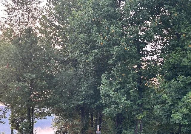 Photo 4 of Land for sale at 755 Sunset Cir, Jasper, TN 37347 | MLS# 3168230 | Listing updated on 2026-09-11