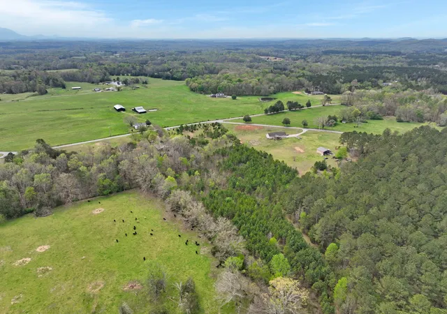Photo 4 of Land for sale at 329 County Rd 775, Riceville, TN 37370 | MLS# 3168809 | Listing updated on 2026-10-09
