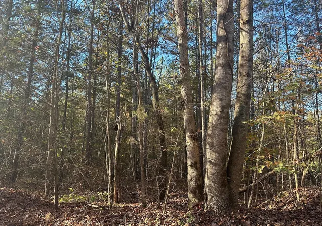 Photo 1 of Land for sale at 0 Redman Ln, Decatur, TN 37322 | MLS# 3223421 | Listing updated on 2026-10-01