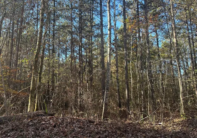 Photo 2 of Land for sale at 0 Redman Ln, Decatur, TN 37322 | MLS# 3223421 | Listing updated on 2026-10-01
