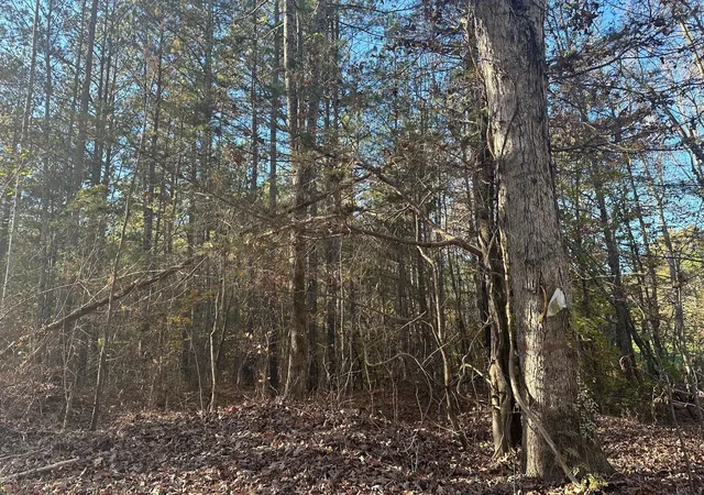 Photo 3 of Land for sale at 0 Redman Ln, Decatur, TN 37322 | MLS# 3223421 | Listing updated on 2026-10-01