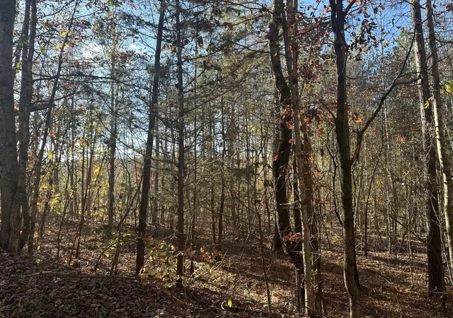 Photo 3 of Land for sale at 0 Redman Ln, Decatur, TN 37322 | MLS# 3223421 | Listing updated on 2026-10-01