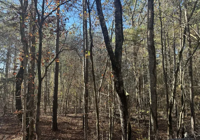 Photo 4 of Land for sale at 0 Redman Ln, Decatur, TN 37322 | MLS# 3223421 | Listing updated on 2026-10-01