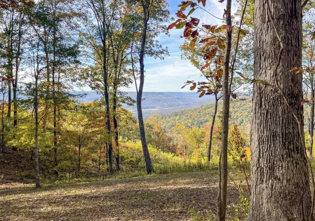 Photo 4 of Land for sale at 390 Volunteer St, Jasper, TN 37347 | MLS# 3170396 | Listing updated on 2026-09-11