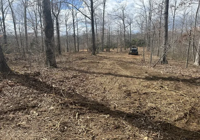 Photo 4 of Land for sale at 0 Highway 7, Santa Fe, TN 38482 | MLS# 3171070 | Listing updated on 2026-09-11