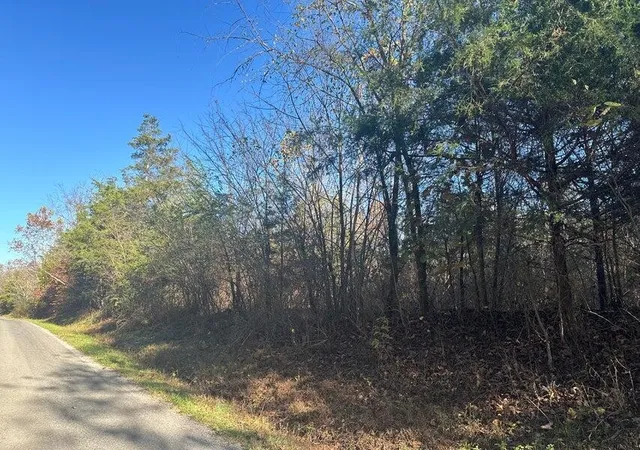Photo 3 of Land for sale at 0 Mt Carmel Rd, Decatur, TN 37322 | MLS# 3223380 | Listing updated on 2026-10-08